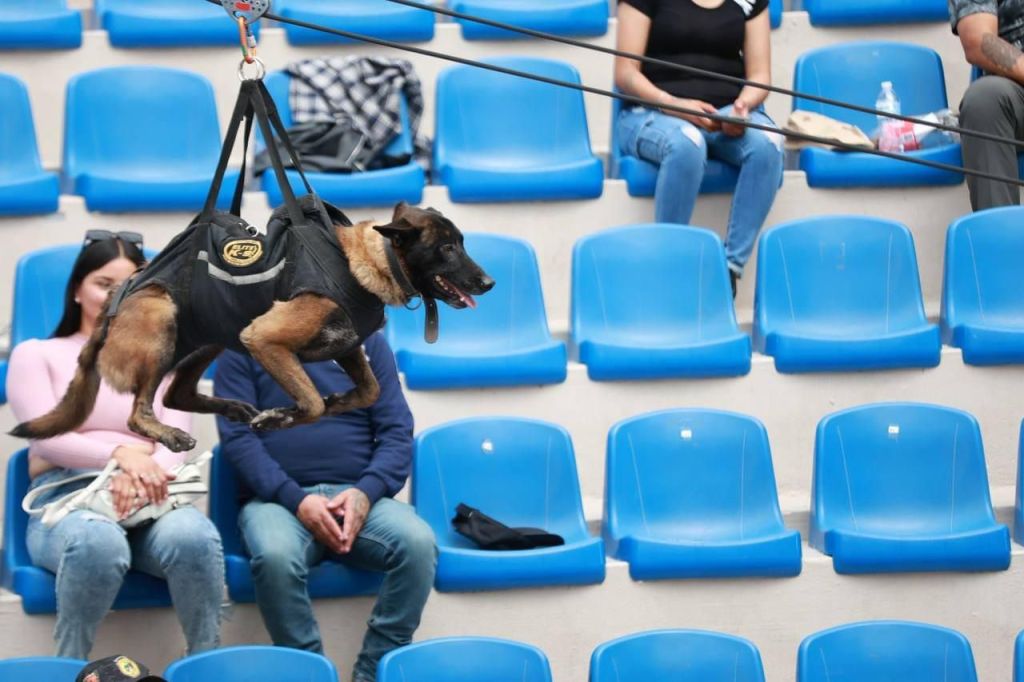 CLAUSURA DEL TERCER CONGRESO CANINO “PERROS DE TRABAJO” Y DESPEDIDA HONORÍFICA A “ZEUS” EN MINERAL DE LA&nbsp;REFORMA