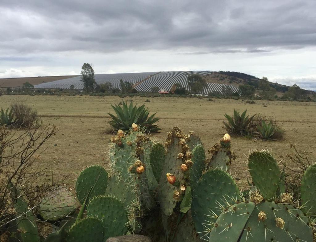 MINERAL DE LA REFORMA IMPULSA LA ENERGÍA SOLAR CON UN INNOVADOR PARQUE&nbsp;FOTOVOLTAICO